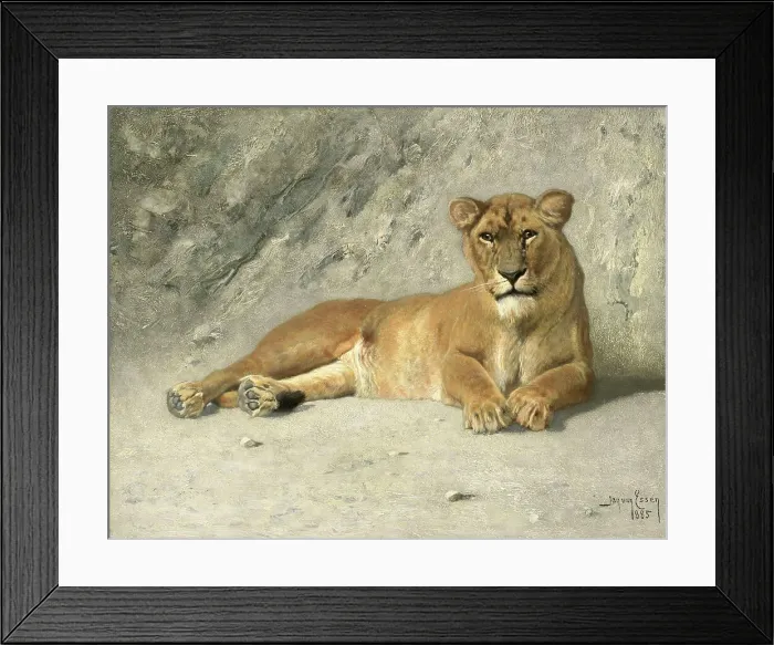 Framed Print : Lioness Resting, 1885. Creator: Jan van Essen Framed Print : Lioness Resting, 1885. Creator: Jan van Essen