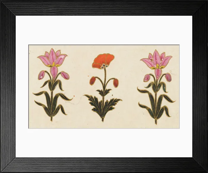 Framed Print : Pink lilies and red poppy motif, Folio from the Small Clive Album, Dated 1674-1675. Creator: Unknown Framed Print : Pink lilies and red poppy motif, Folio from the Small Clive Album, Dated 1674-1675. Creator: Unknown
