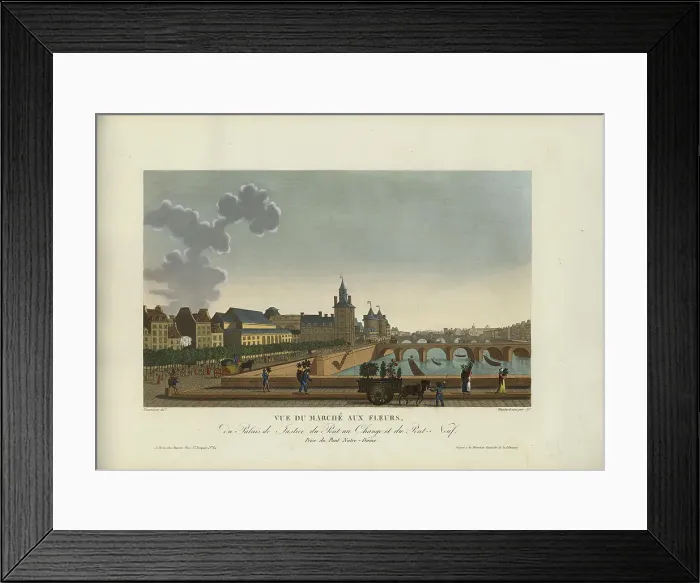 Framed Print : Vue du marché aux Fleurs, du Palais de justice, du Pont-au-change et du Pont-Neuf... 1817-1824. Creator: Courvoisier-Voisin, Henri (1757-1830) Framed Print : Vue du marché aux Fleurs, du Palais de justice, du Pont-au-change et du Pont-Neuf... 1817-1824. Creator: Courvoisier-Voisin, Henri (1757-1830)