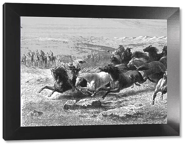 Catching Wild Horses with the Lasso; Frontier Adventures in the Argentine Republic, 1875. Creator: Unknown