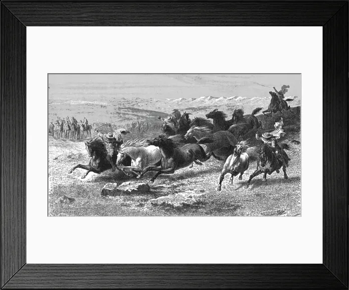 Framed Print : Catching Wild Horses with the Lasso; Frontier Adventures in the Argentine Republic, 1875. Creator: Unknown Framed Print : Catching Wild Horses with the Lasso; Frontier Adventures in the Argentine Republic, 1875. Creator: Unknown