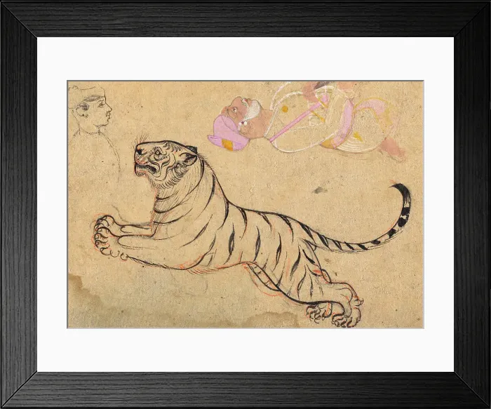 Framed Print : Studies of a Tiger and Two Humans, c1875. Creator: Unknown Framed Print : Studies of a Tiger and Two Humans, c1875. Creator: Unknown