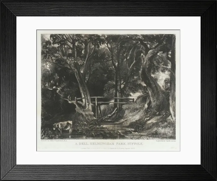 Framed Print : A Dell, Helmingham Park, Suffolk, 1830. Creator: David Lucas Framed Print : A Dell, Helmingham Park, Suffolk, 1830. Creator: David Lucas