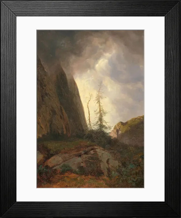 Framed Print : Wettertanne. Creator: Calame, Alexandre (1810-1864)