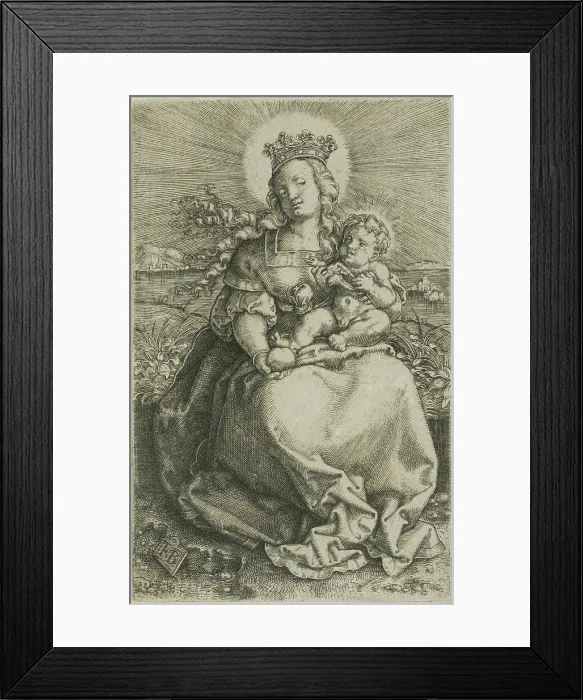 Framed Print : The Virgin on the Grassy Bank, 1520 / 69. Creator: Jacob Binck Framed Print : The Virgin on the Grassy Bank, 1520 / 69. Creator: Jacob Binck