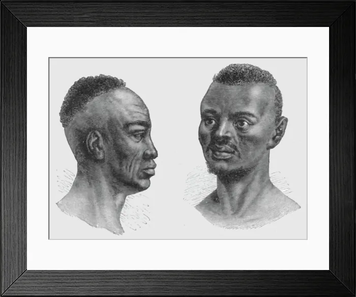 Framed Print : Types of Nyam-Nyam; Dr. G. Schweinfurth's recent expedition to the Nyam-Nyam district... 1875. Creator: W. F Kirby Framed Print : Types of Nyam-Nyam; Dr. G. Schweinfurth's recent expedition to the Nyam-Nyam district... 1875. Creator: W. F Kirby