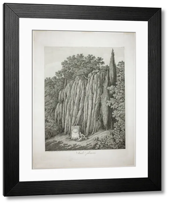Framed Print : Weeping Willow, 1802. Creator: Jacob Philip Hackert Framed Print : Weeping Willow, 1802. Creator: Jacob Philip Hackert