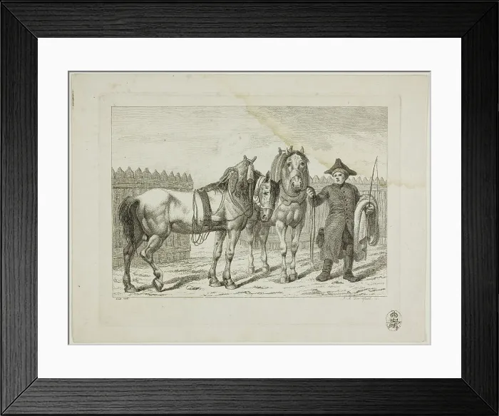 Framed Print : Riding School and Horses, 1806. Creator: Johann Adolph Darnstedt Framed Print : Riding School and Horses, 1806. Creator: Johann Adolph Darnstedt