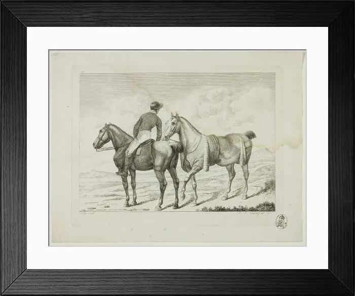 Framed Print : Riding School and Horses, 1806. Creator: Johann Adolph Darnstedt Framed Print : Riding School and Horses, 1806. Creator: Johann Adolph Darnstedt