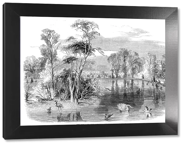 The new lake, Kew Gardens, 1860. Creator: Unknown