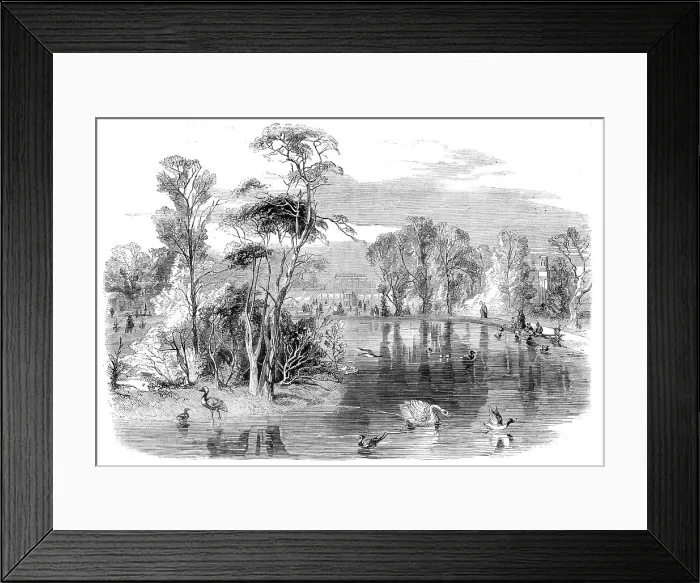 Framed Print : The new lake, Kew Gardens, 1860. Creator: Unknown Framed Print : The new lake, Kew Gardens, 1860. Creator: Unknown