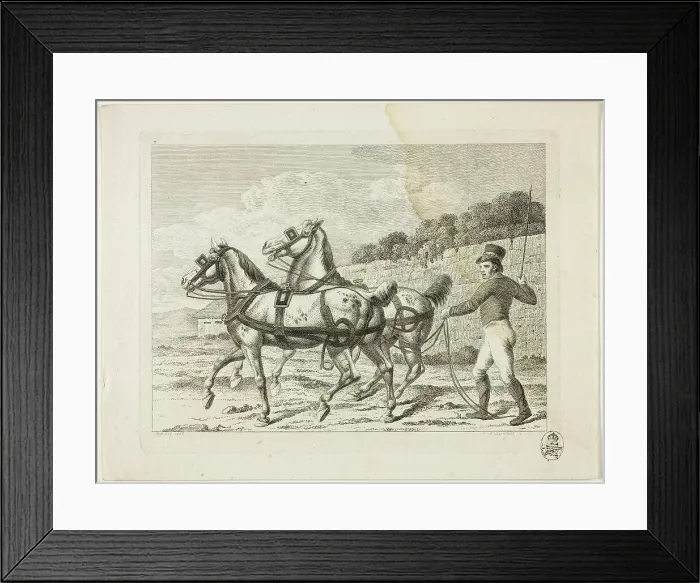 Framed Print : Riding School and Horses, 1806. Creator: Johann Adolph Darnstedt Framed Print : Riding School and Horses, 1806. Creator: Johann Adolph Darnstedt