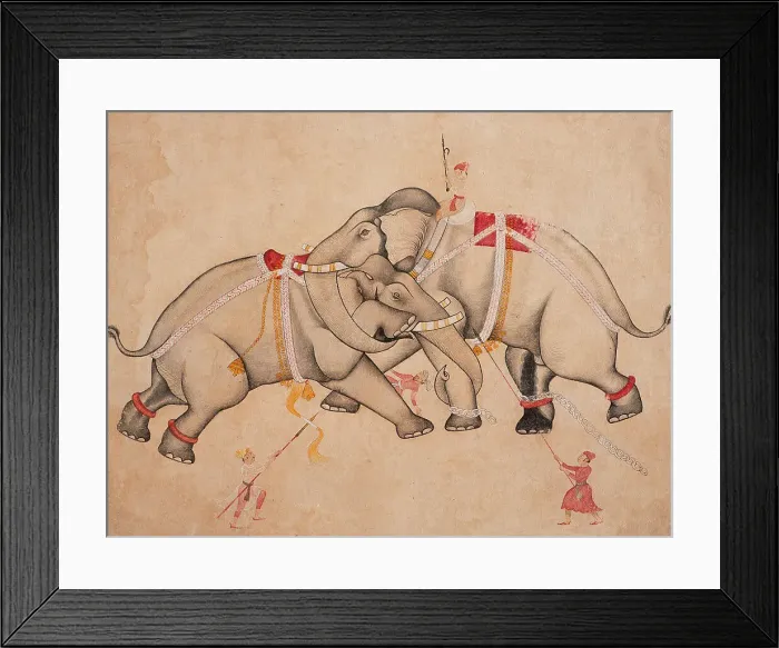 Framed Print : Elephant Combat, c1725. Creator: Unknown Framed Print : Elephant Combat, c1725. Creator: Unknown