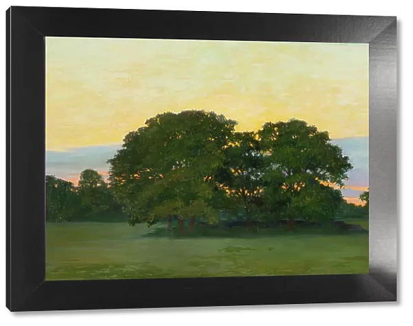 Oaks, evening mood, 1899. Creator: Gunnar G:son Wennerberg
