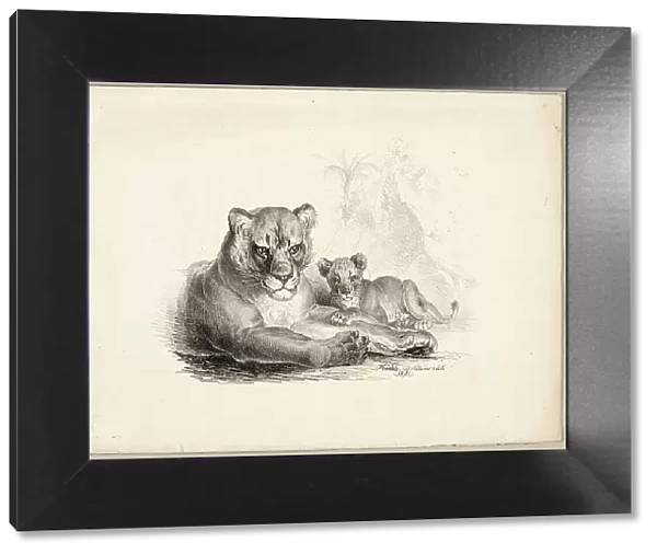 Lion with Cubs, 1831. Creator: Johann Höchle
