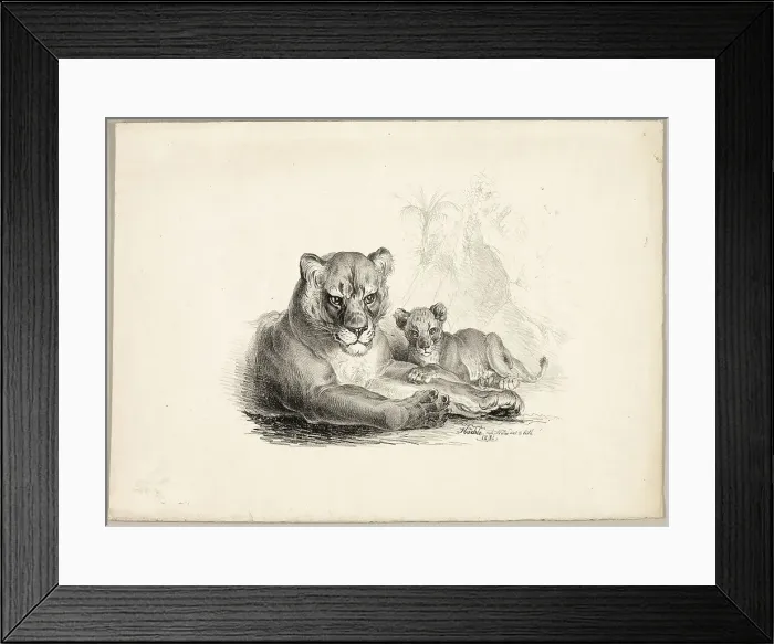 Framed Print : Lion with Cubs, 1831. Creator: Johann Höchle Framed Print : Lion with Cubs, 1831. Creator: Johann Höchle
