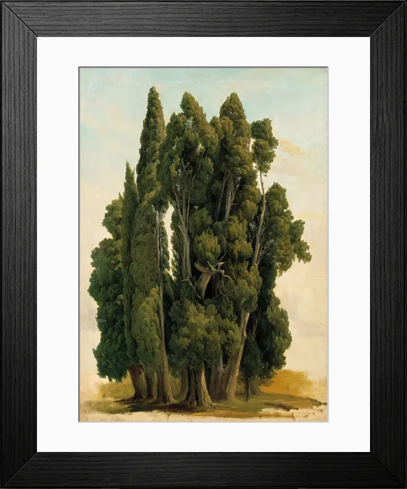 Framed Print : Cypresses. Study, 1843. Creator: Gustav Wilhelm Palm Framed Print : Cypresses. Study, 1843. Creator: Gustav Wilhelm Palm