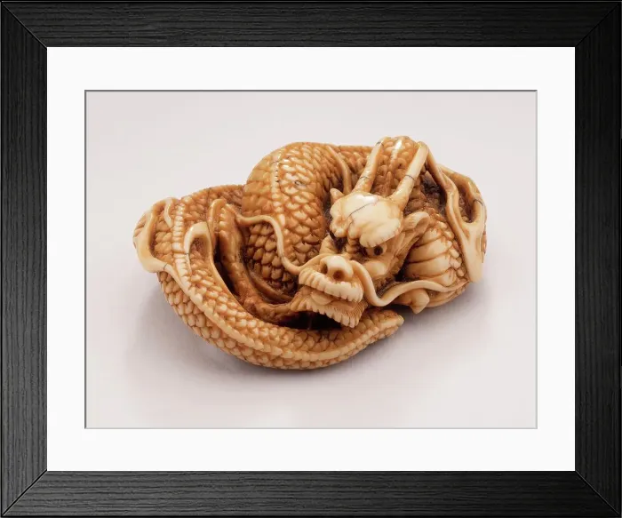 Framed Print : Coiled Dragon, 18th century. Creator: Tomotada Framed Print : Coiled Dragon, 18th century. Creator: Tomotada