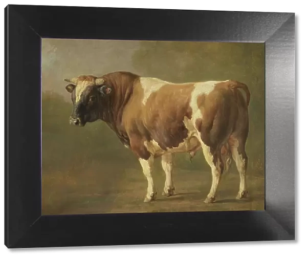 Study of a Bull, 1830-1867. Creator: Jacques-Raymond Brascassat