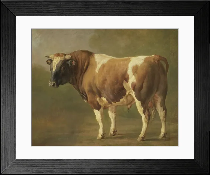 Framed Print : Study of a Bull, 1830-1867. Creator: Jacques-Raymond Brascassat Framed Print : Study of a Bull, 1830-1867. Creator: Jacques-Raymond Brascassat