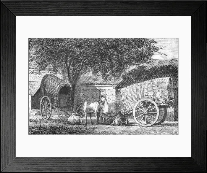 Framed Print : Hindoo Travelling Cars; Notes on the Indian Wolf, Canis Pallipes. 1875. Creator: Charles Horne. Hindoo Travelling Cars; Notes on the Indian Wolf, Canis Pallipes. 1875. Creator: Charles Horne Framed Print : Hindoo Travelling Cars; Notes on the Indian Wolf, Canis Pallipes. 1875. Creator: Charles Horne. Hindoo Travelling Cars; Notes on the Indian Wolf, Canis Pallipes. 1875. Creator: Charles Horne
