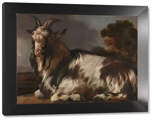 Goat Lying Down, 1645-1660. Creator: Jan Baptist Weenix