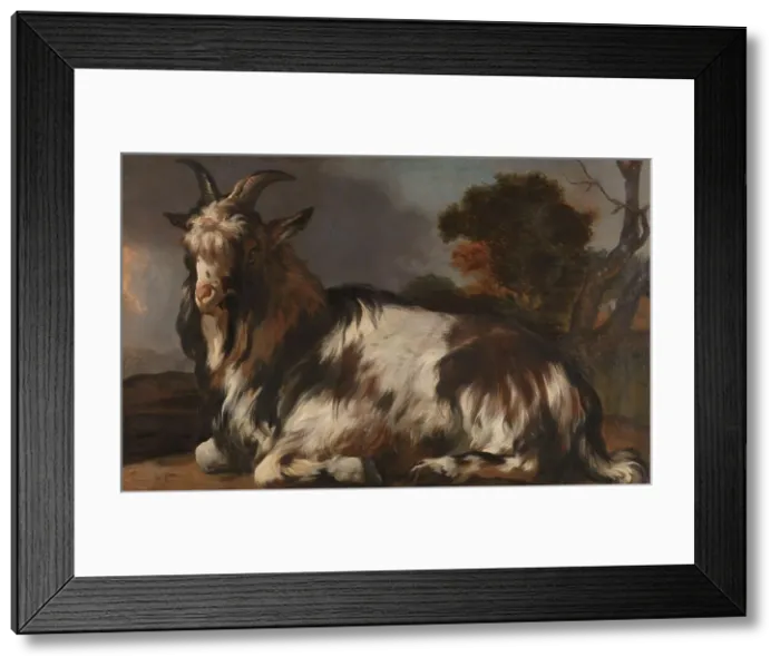 Framed Print : Goat Lying Down, 1645-1660. Creator: Jan Baptist Weenix