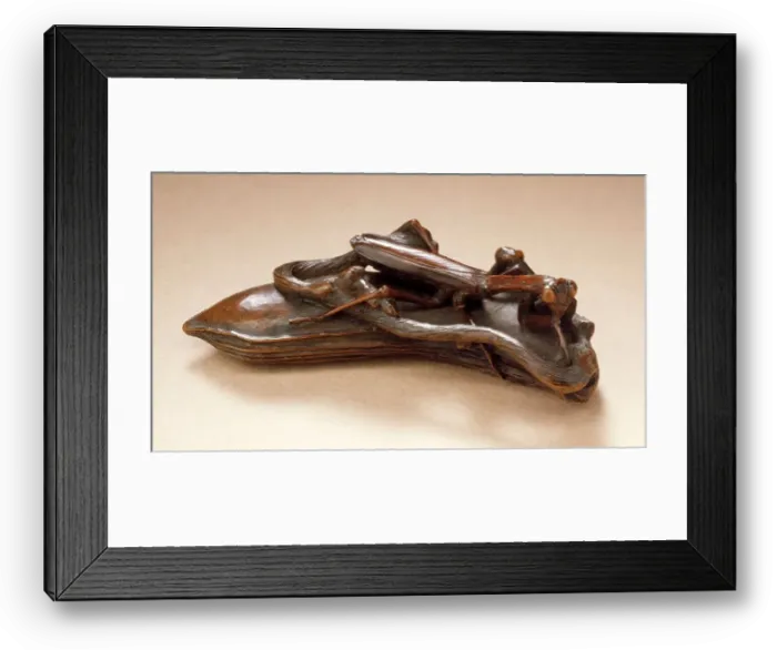 Framed Print : Praying Mantis on Bean, Second half of 19th century. Creator: Bazan Framed Print : Praying Mantis on Bean, Second half of 19th century. Creator: Bazan