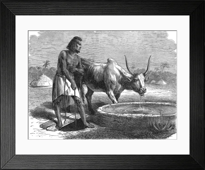 Framed Print : Samhar peasant at a well; A journey through Soudan and Western Abyssinia... 1875. Creator: Unknown Framed Print : Samhar peasant at a well; A journey through Soudan and Western Abyssinia... 1875. Creator: Unknown