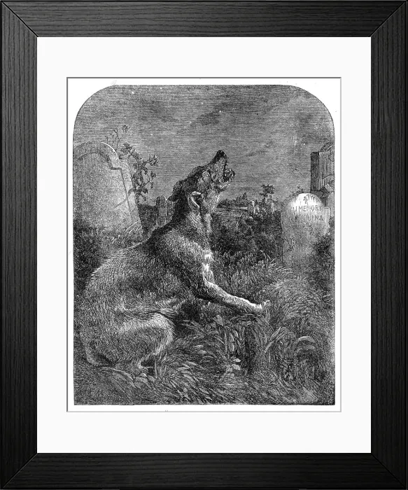 Framed Print : The Poor Man's Grave, 1860. Creator: Dalziel Brothers. The Poor Man's Grave, 1860. Creator: Dalziel Brothers Framed Print : The Poor Man's Grave, 1860. Creator: Dalziel Brothers. The Poor Man's Grave, 1860. Creator: Dalziel Brothers
