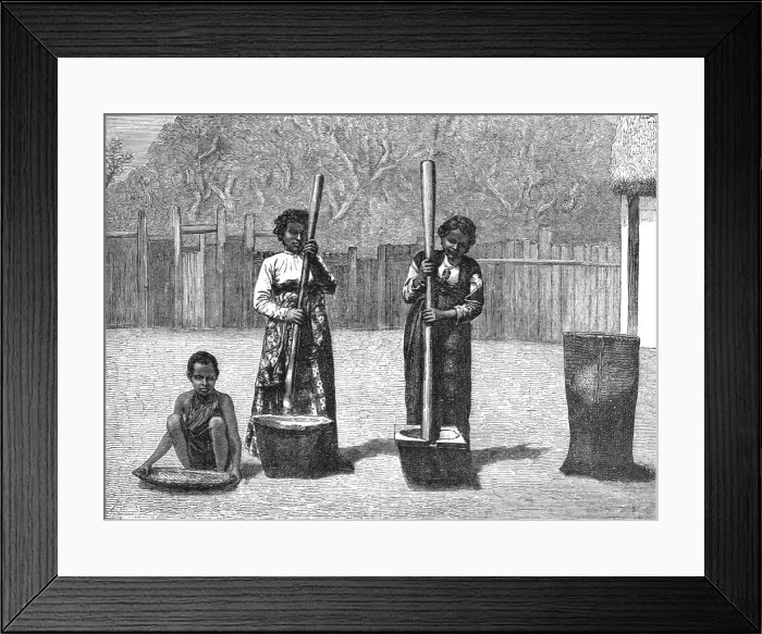 Framed Print : Rice-Pounding; A Birds-eye View of Madagascar, 1875. Creator: M.D Charnay Framed Print : Rice-Pounding; A Birds-eye View of Madagascar, 1875. Creator: M.D Charnay