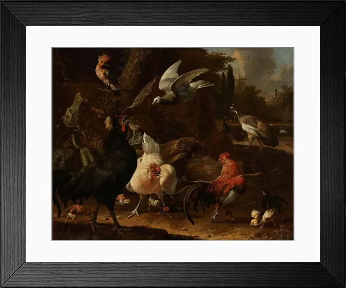 Framed Print : Birds in a Park, 1686. Creator: Melchior d'Hondecoeter Framed Print : Birds in a Park, 1686. Creator: Melchior d'Hondecoeter
