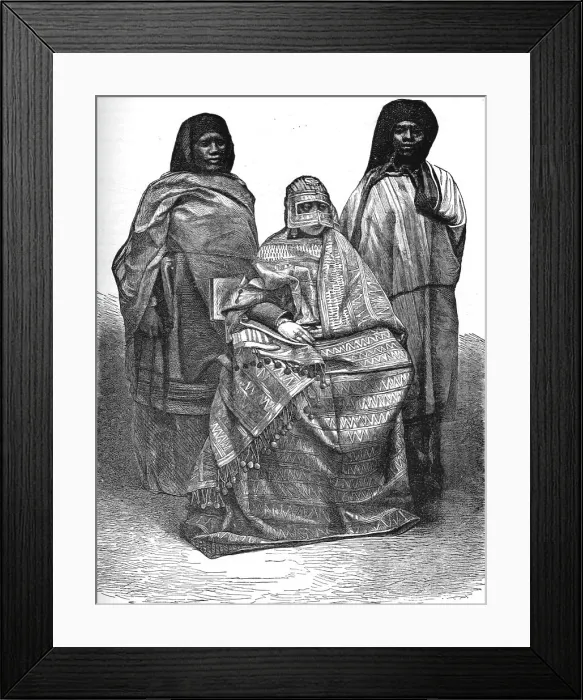 Framed Print : Queen of Mohilla, and her attendants; A Birds-eye View of Madagascar, 1875. Creator: M.D Charnay Framed Print : Queen of Mohilla, and her attendants; A Birds-eye View of Madagascar, 1875. Creator: M.D Charnay