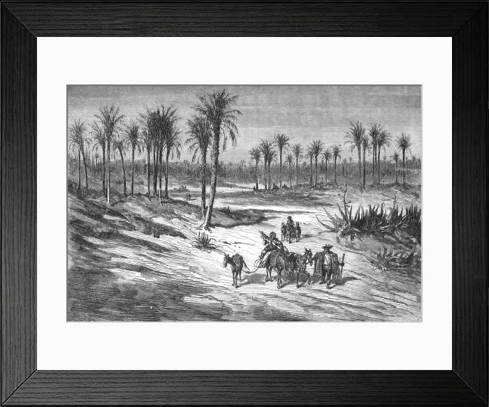 Framed Print : Palm groves of Elche, near Alicante; Notes on Spain, 1875. Creator: Unknown Framed Print : Palm groves of Elche, near Alicante; Notes on Spain, 1875. Creator: Unknown