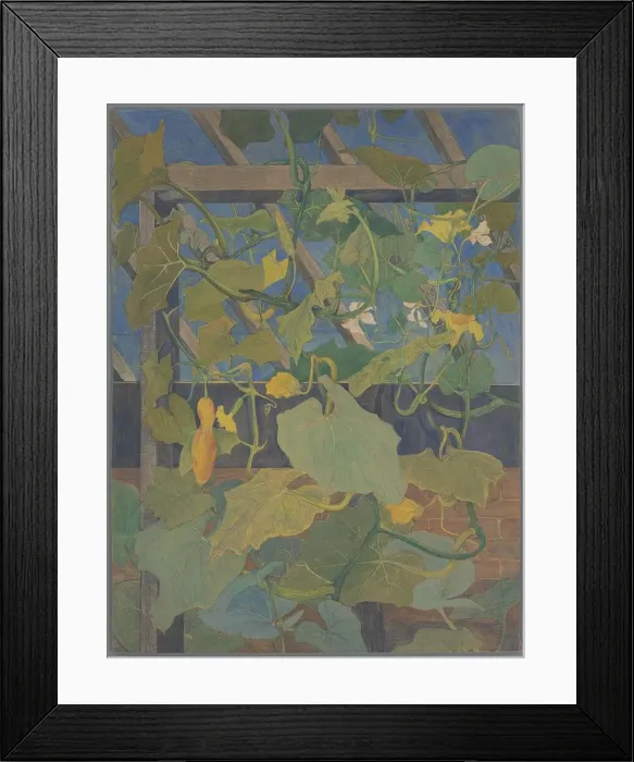 Framed Print : Greenhouse with ornamental gourd, 1897-1901. Creator: Theo van Hoytema Framed Print : Greenhouse with ornamental gourd, 1897-1901. Creator: Theo van Hoytema