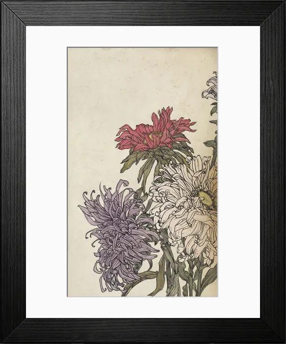 Framed Print : Chrysanthemums, 1887-1924. Creator: Julie de Graag Framed Print : Chrysanthemums, 1887-1924. Creator: Julie de Graag