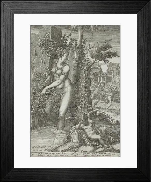 Framed Print : Venus and the Rose, 1556. Creators: Giorgio Ghisi, Luca Penni Framed Print : Venus and the Rose, 1556. Creators: Giorgio Ghisi, Luca Penni