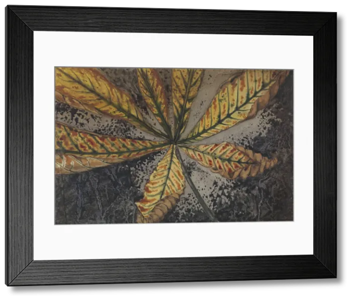 Framed Print : Chestnut leaf, 1887-1924. Creator: Julie de Graag Framed Print : Chestnut leaf, 1887-1924. Creator: Julie de Graag