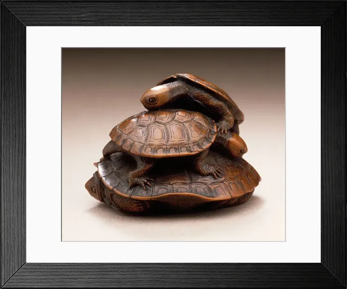 Framed Print : Turtle Group, early 19th century. Creator: Kano Tomokazu