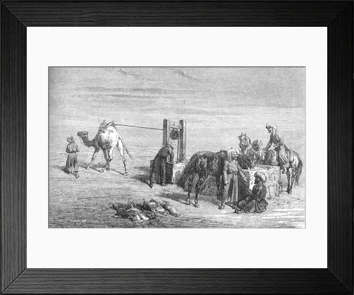 Framed Print : A Well in the Hyrcanian desert; The Hyrcanian Desert, 1875. Creator: Armin Vambery