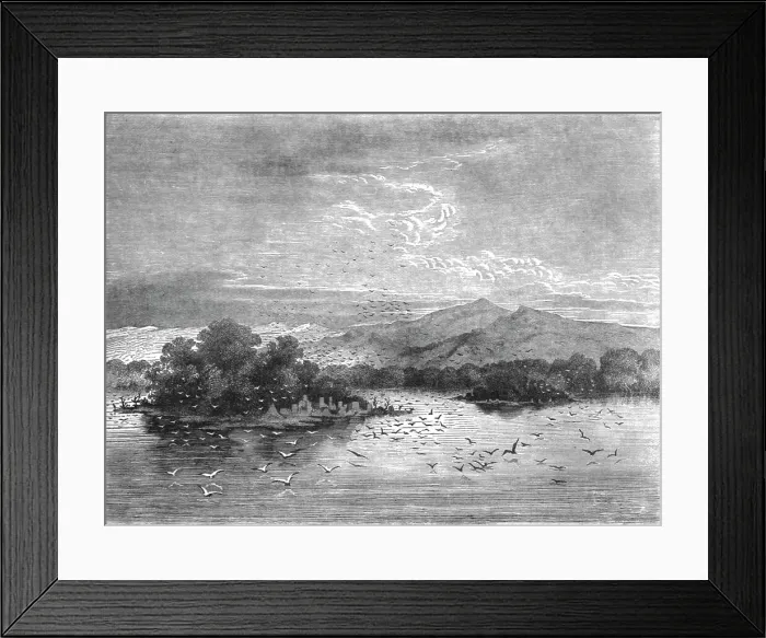 Framed Print : The sacred Isles of Lake Jonanga; The Gaboon. 1875. Creator: Unknown