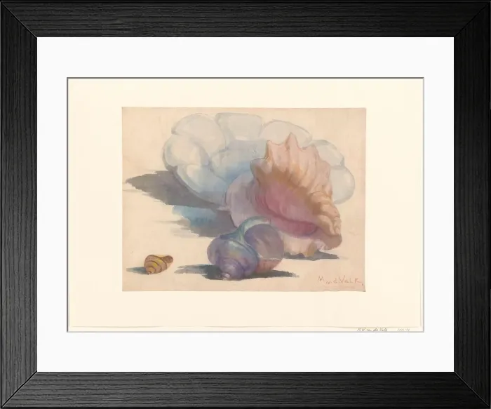 Framed Print : Three shells with a Delft folding dish, 1867-1935. Creator: Maurits Willem van der Valk Framed Print : Three shells with a Delft folding dish, 1867-1935. Creator: Maurits Willem van der Valk