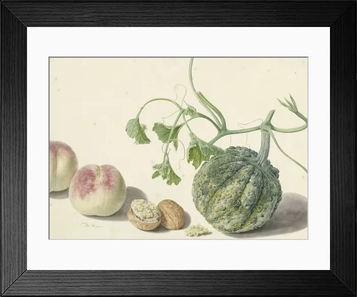Framed Print : Gourd, two peaches and a walnut, 1714-1760. Creator: Michiel van Huysum Framed Print : Gourd, two peaches and a walnut, 1714-1760. Creator: Michiel van Huysum