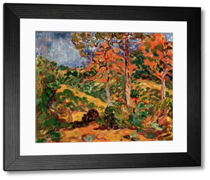 Framed Print : Sunlight Under the Trees, 1908-1909. Artist: Louis Valtat Framed Print : Sunlight Under the Trees, 1908-1909. Artist: Louis Valtat