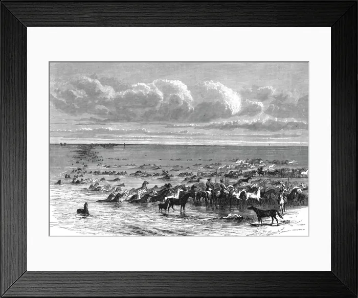 Framed Print : A troup of horses crossing the Volga; A Journey on the Volga, 1875. Creator: Nicholas Rowe Framed Print : A troup of horses crossing the Volga; A Journey on the Volga, 1875. Creator: Nicholas Rowe