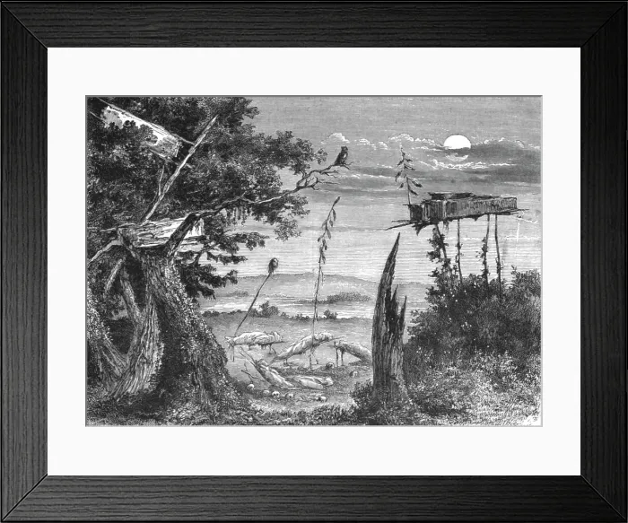 Framed Print : Cemetery of the Sioux Indians; Ocean to Ocean, the Pacific railroad, 1875. Creator: Frederick Whymper Framed Print : Cemetery of the Sioux Indians; Ocean to Ocean, the Pacific railroad, 1875. Creator: Frederick Whymper