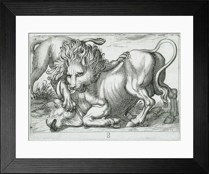 Framed Print : A Lion Attacking a Bull, 1610. Creator: Hendrick Hondius I Framed Print : A Lion Attacking a Bull, 1610. Creator: Hendrick Hondius I