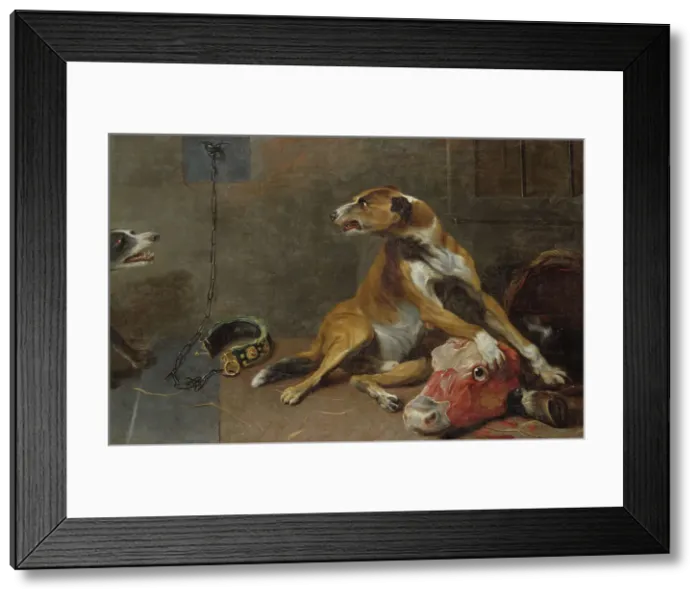 Framed Print : Dogs Fighting over a Flayed Ox's Head, early-mid 17th century. Creator: Workshop of Frans Snyders Framed Print : Dogs Fighting over a Flayed Ox's Head, early-mid 17th century. Creator: Workshop of Frans Snyders