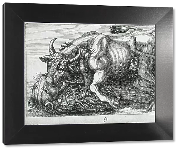 A Bull Fighting a Lion, 1610. Creator: Hendrick Hondius I
