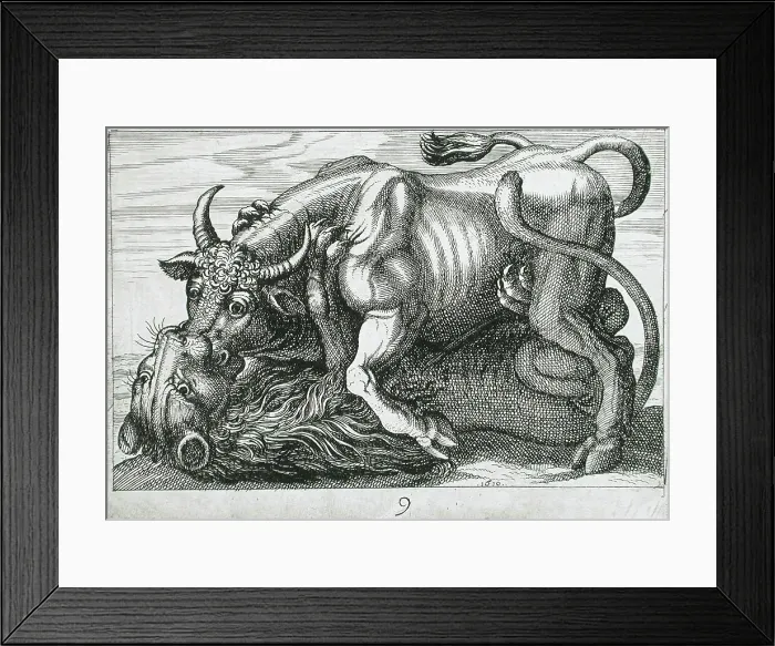Framed Print : A Bull Fighting a Lion, 1610. Creator: Hendrick Hondius I
